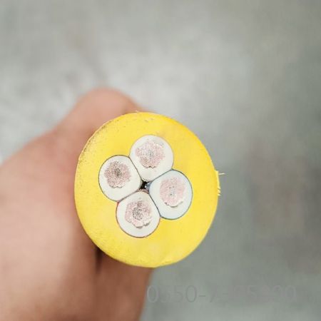 pg国际-不凡成就非凡,相信品牌的力量